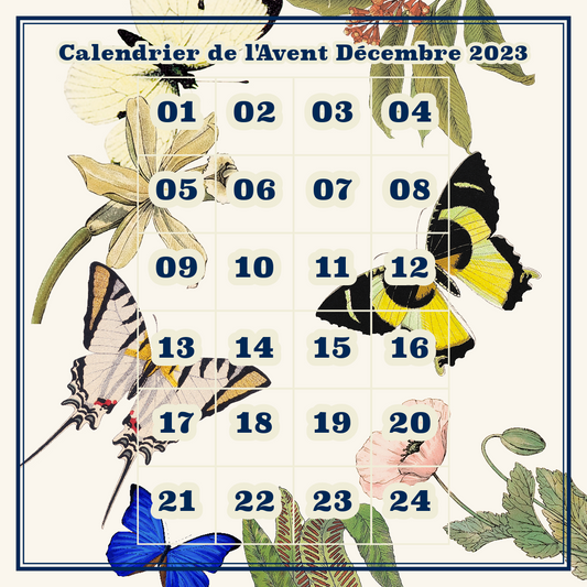 Calendrier de l'Avent Deyrolle