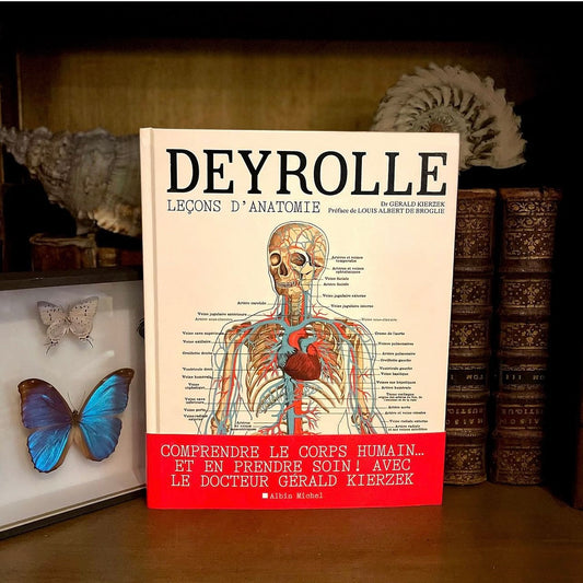 Deyrolle, Leçons d'anatomie