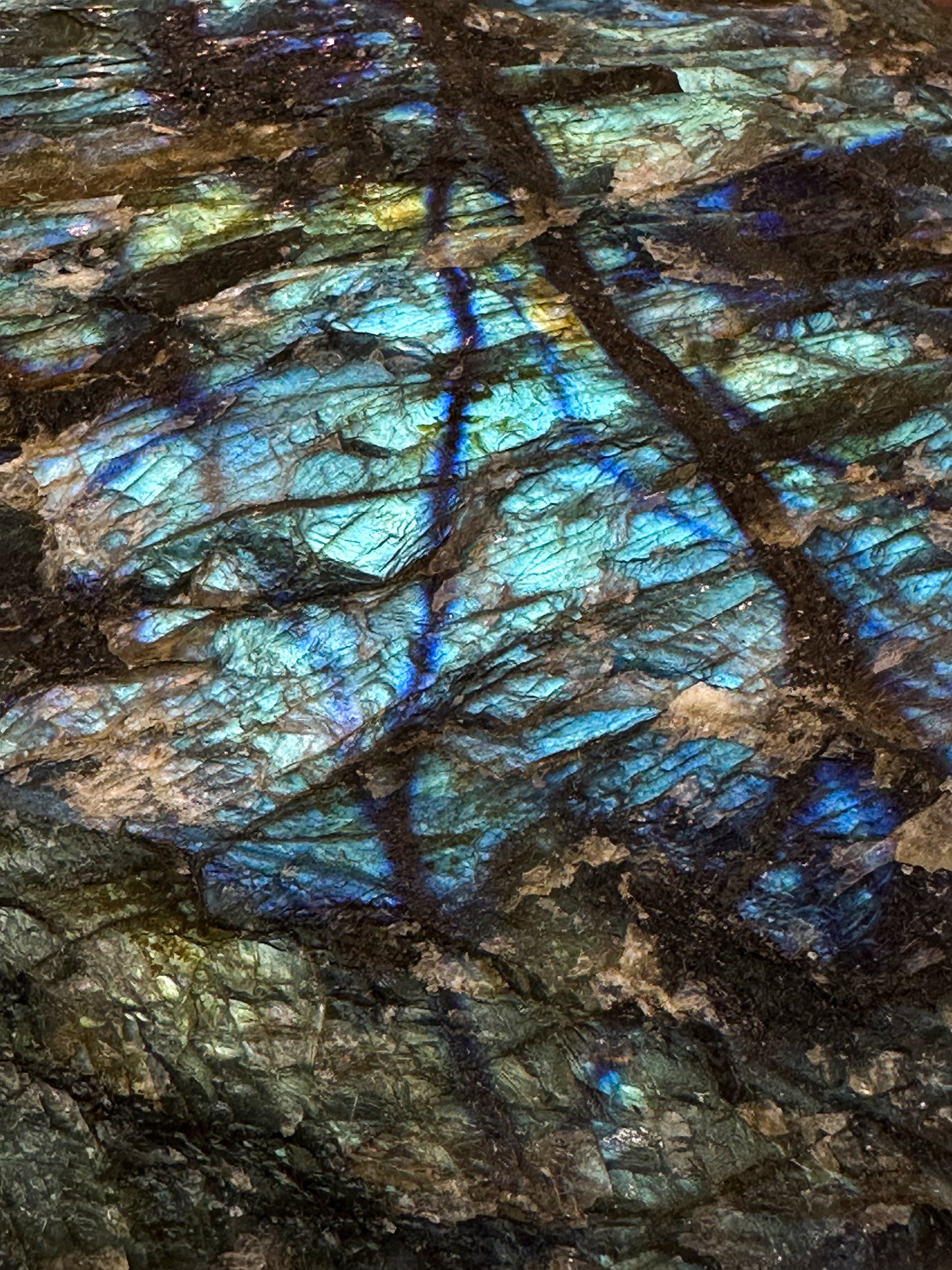 Grand bloc de Labradorite bleue semi-poli