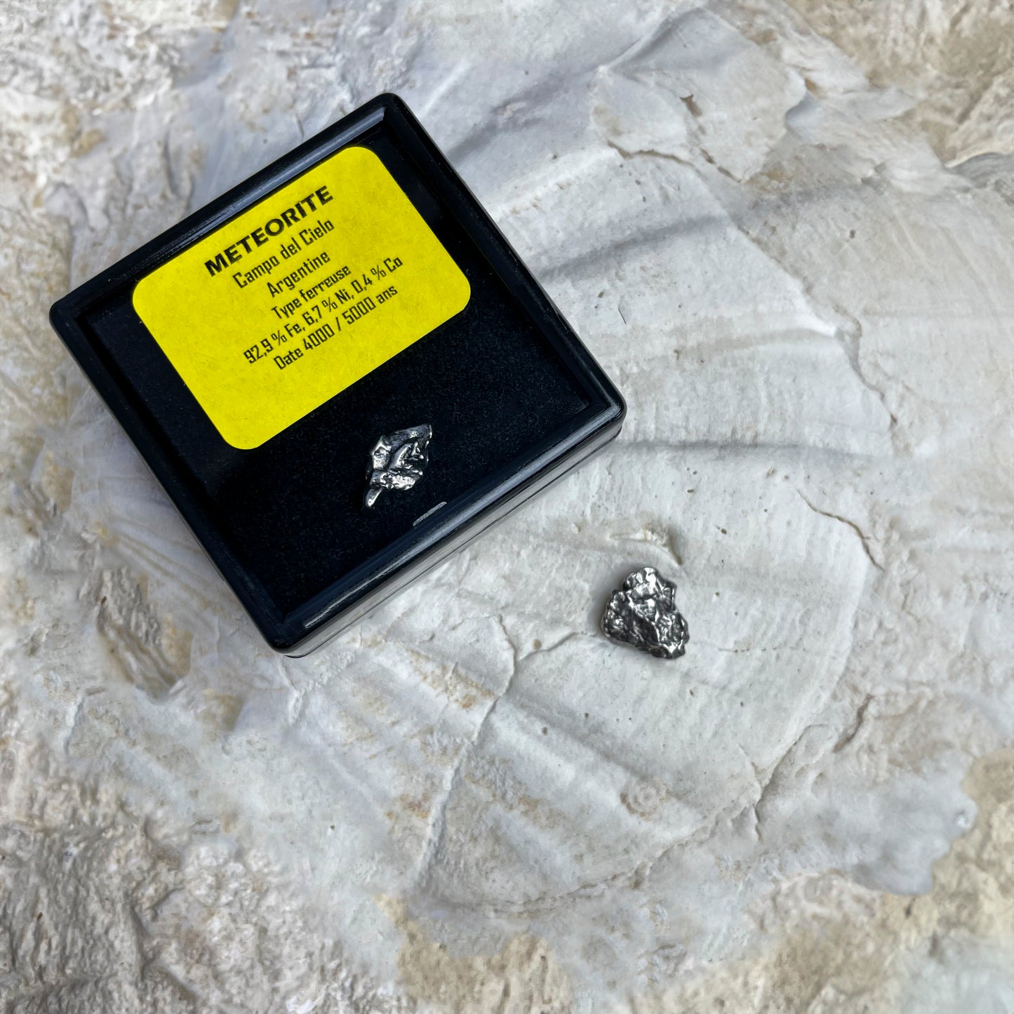 Campo de Cielo meteorite