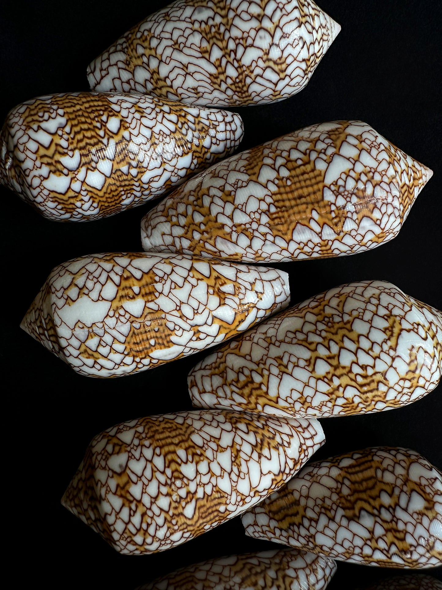 Textile conus