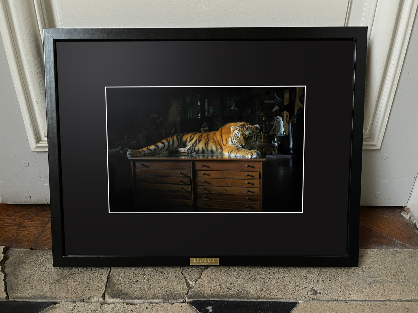 Photo "Tigre de Sibérie"