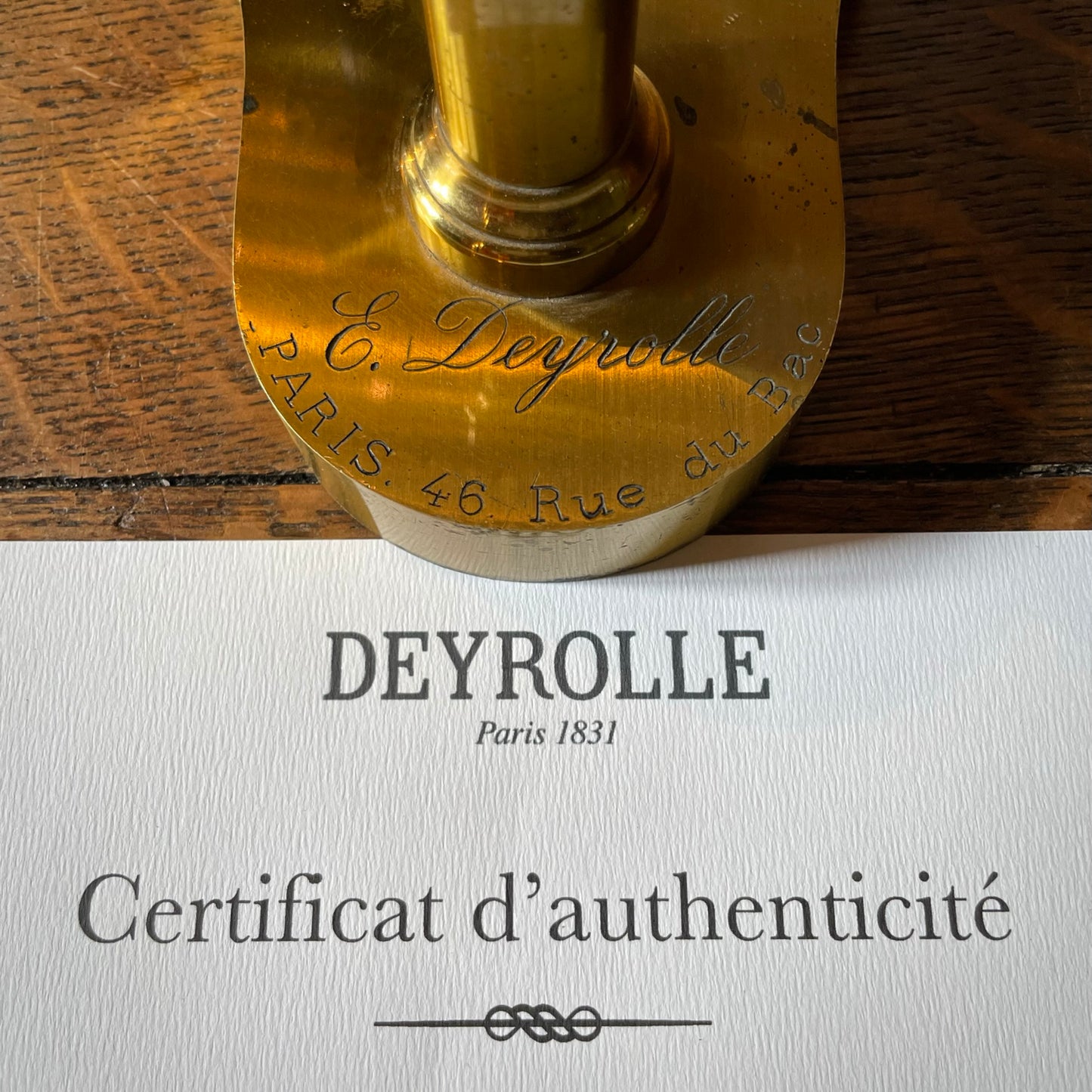 Photo “Elephanteau Deyrolle”