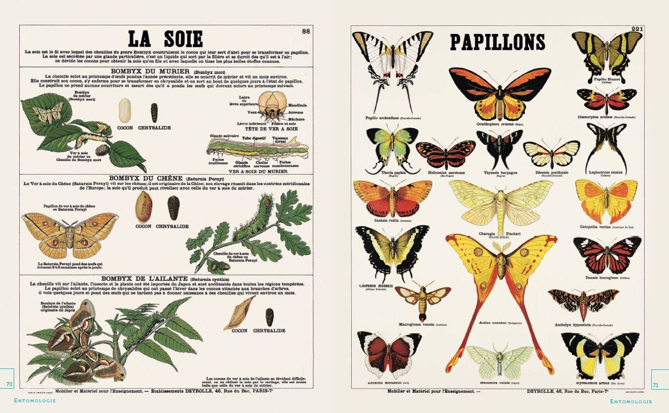 Leçons de choses et autres curiosités naturelles