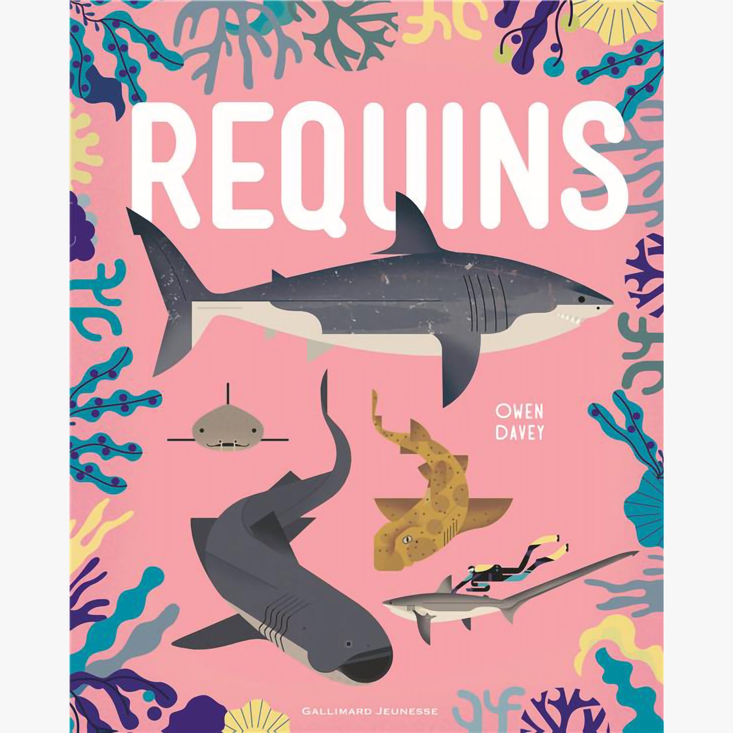 SHARKS