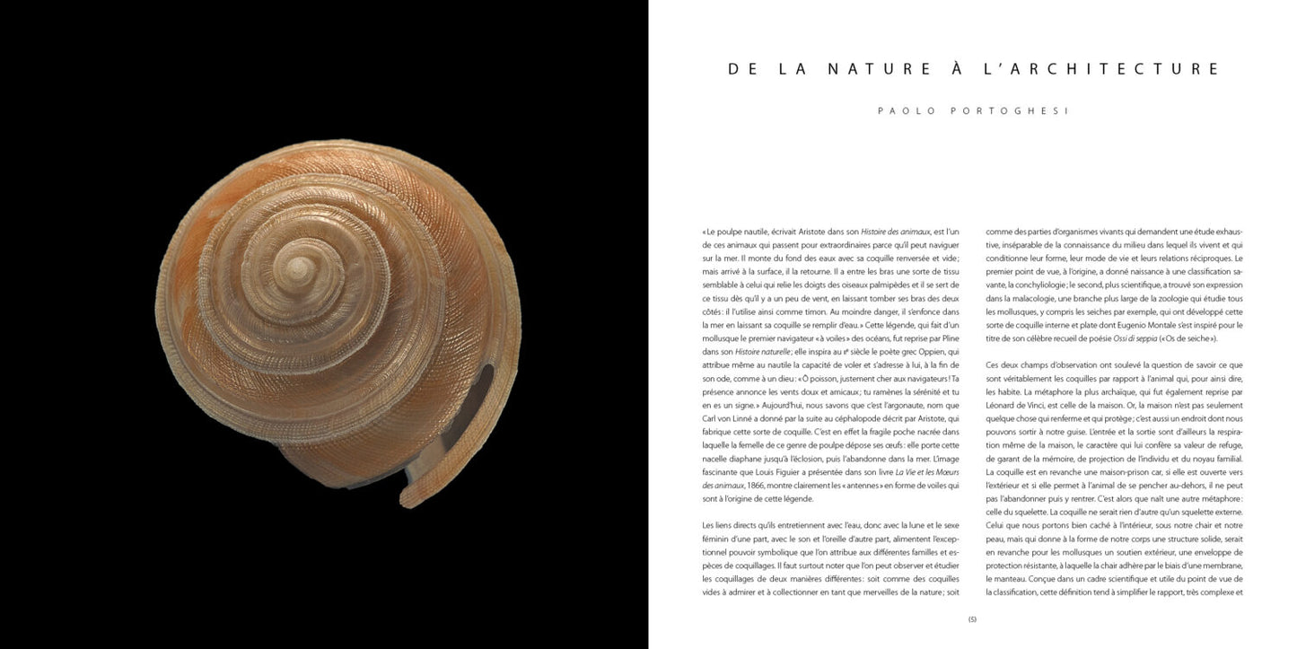 COQUILLAGES