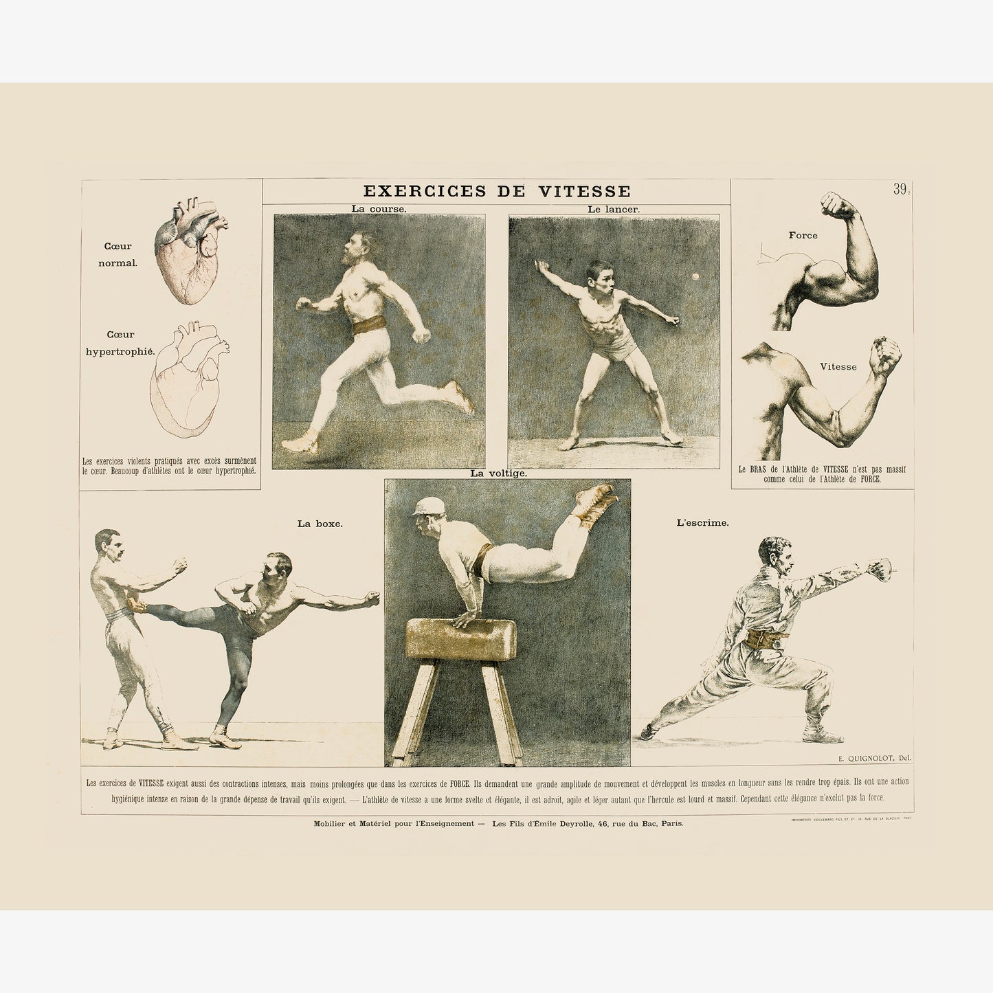 Physical education: speed exercises