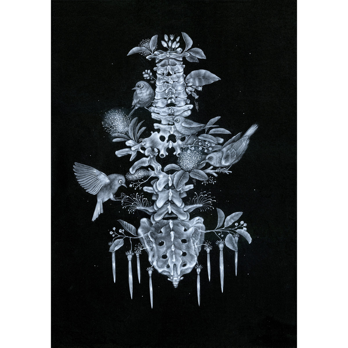 Spinal Tree