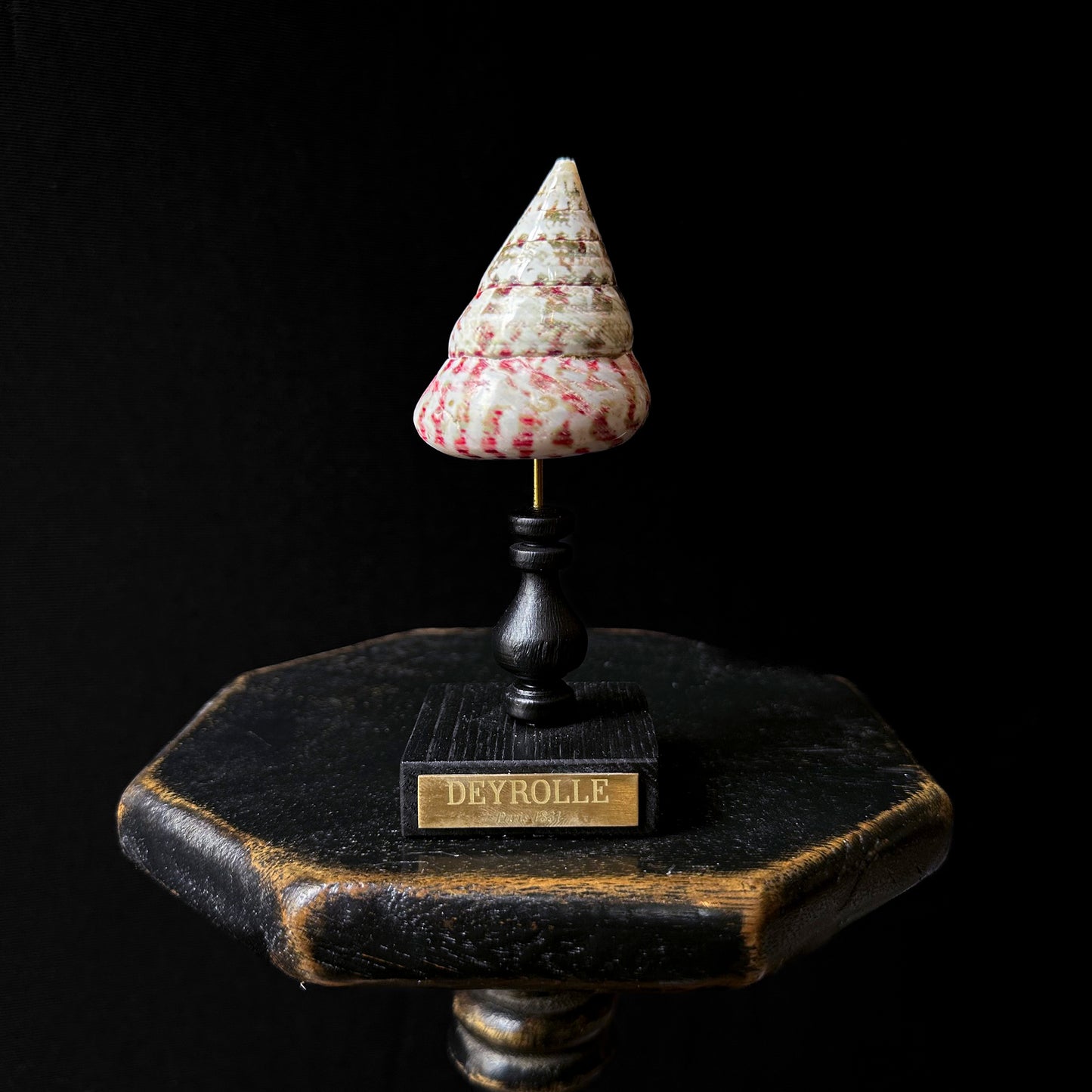 Trocha strawberry on turned wooden base