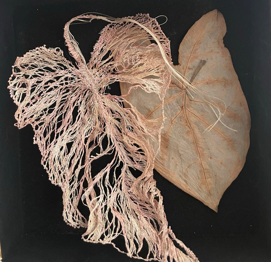Syngonium II