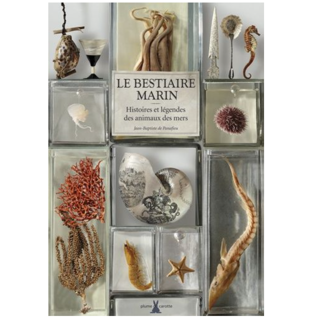 Le bestiaire marin