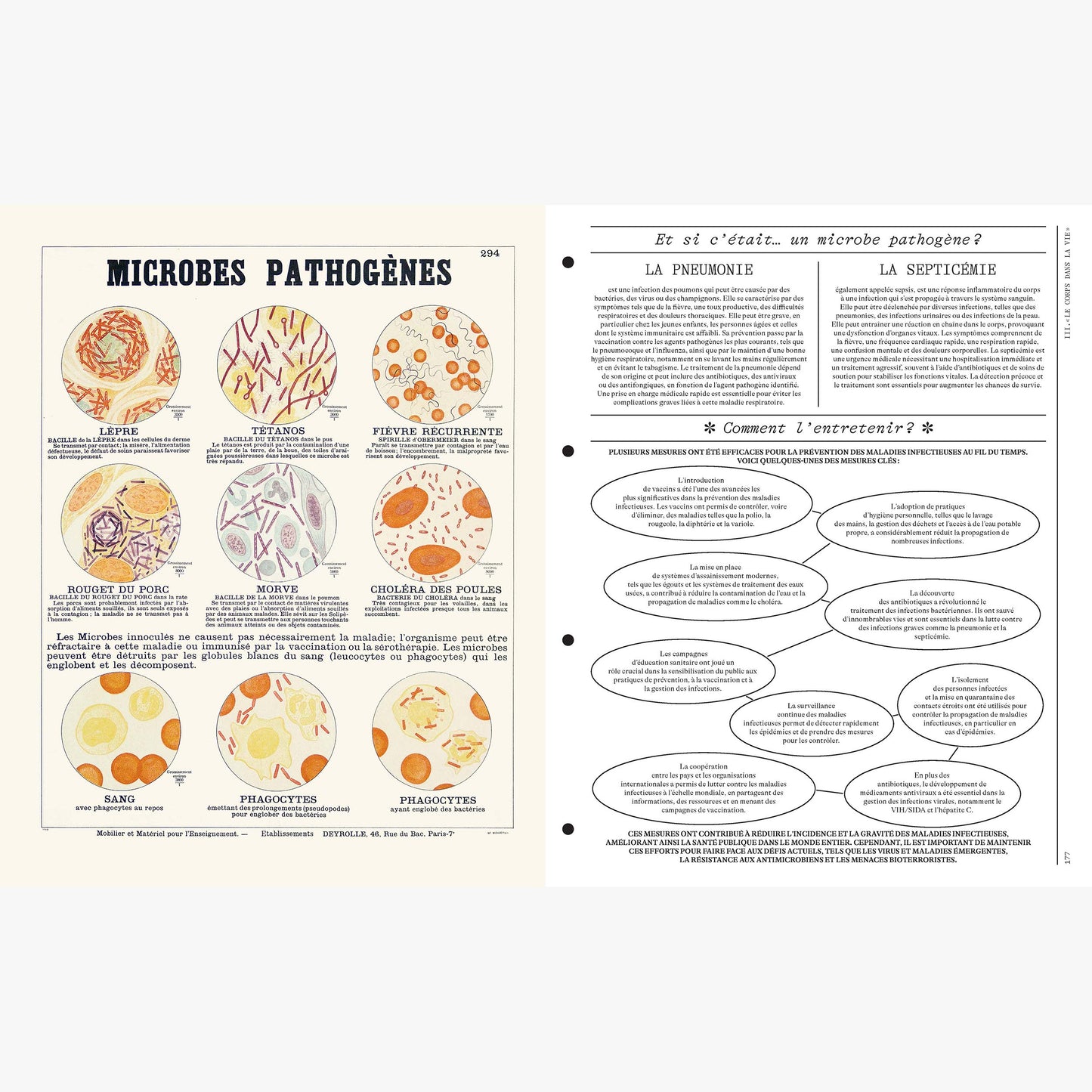 DEYROLLE, Leçons d' Anatomie