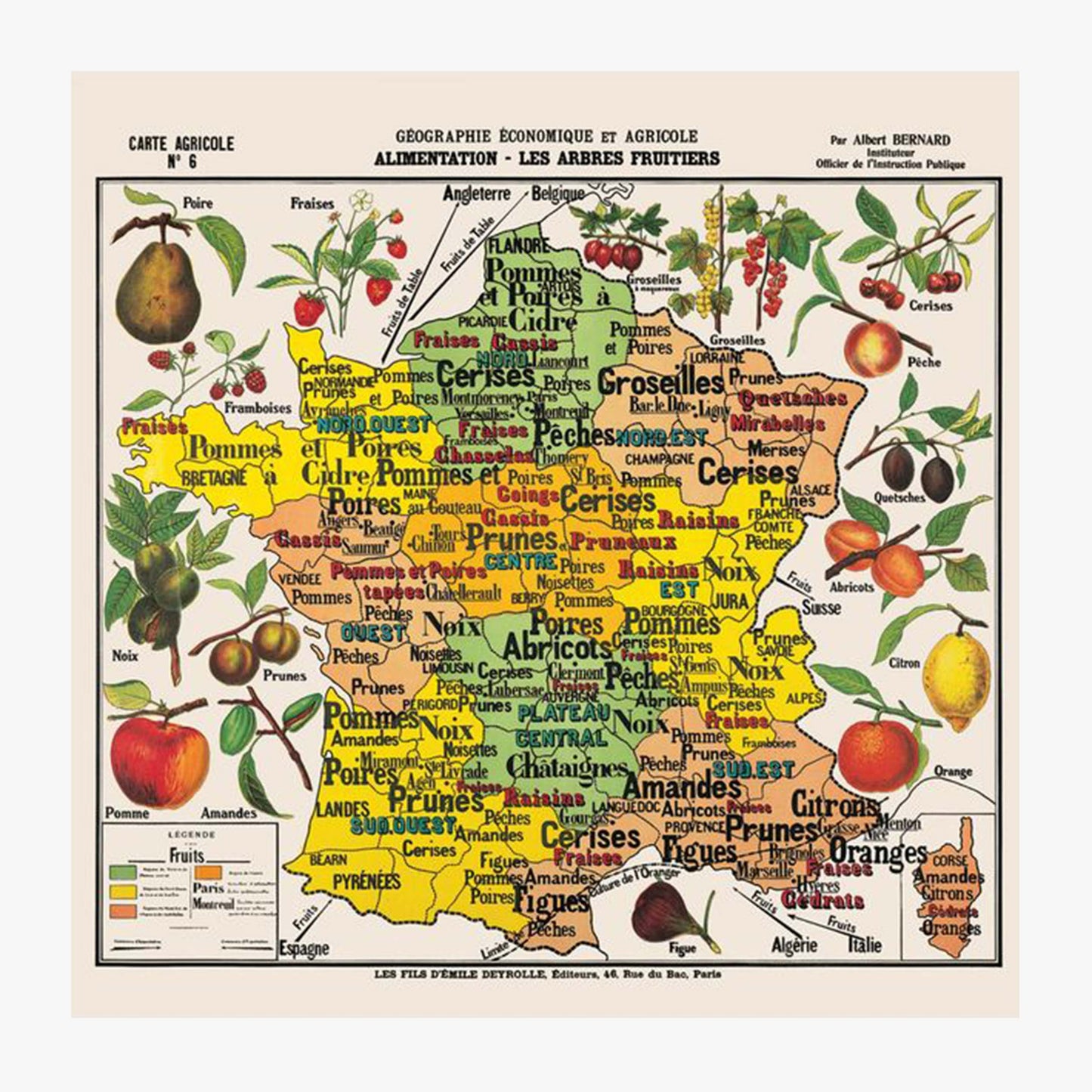 Puzzle: Map of France of Fruits - DEYROLLE