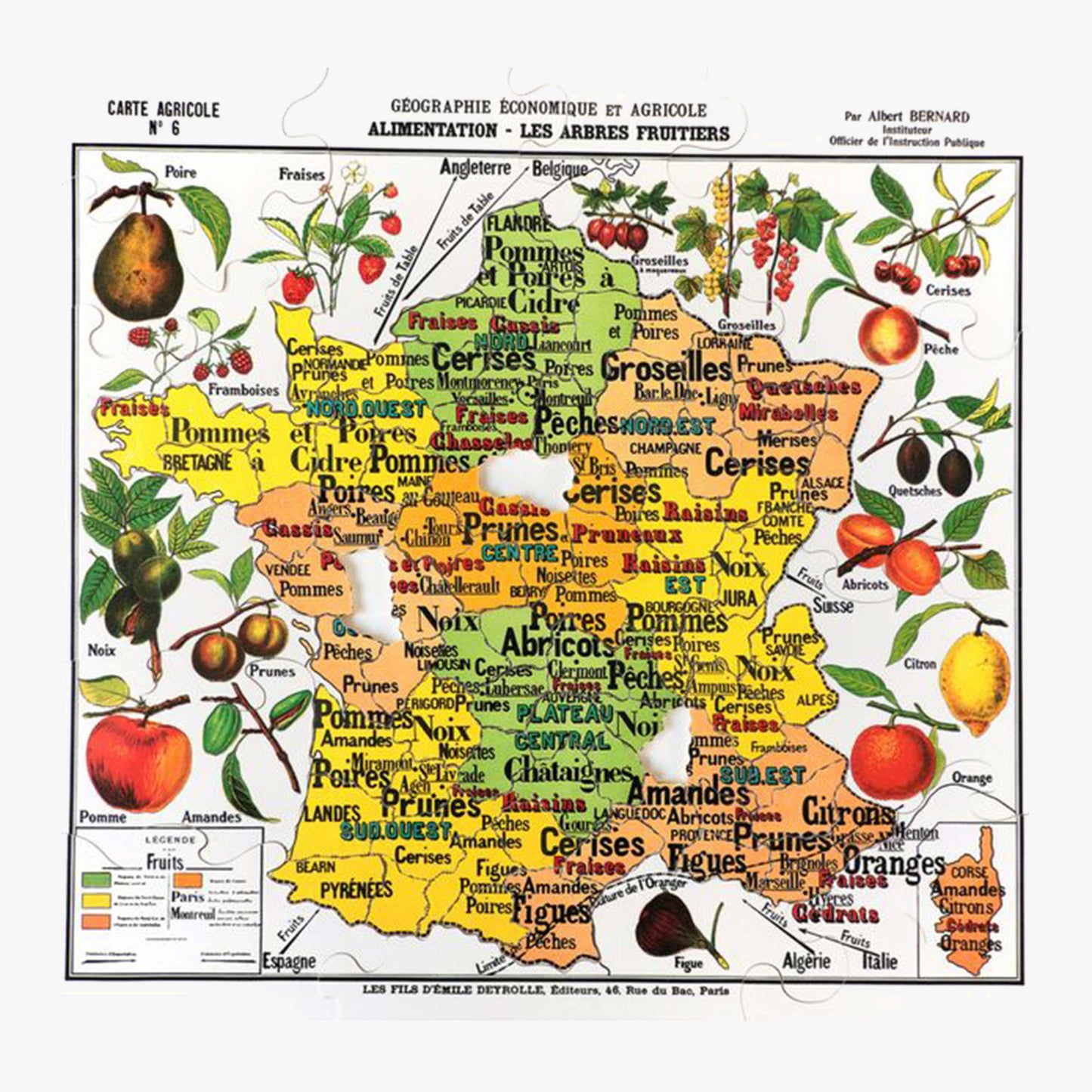 Puzzle: Map of France of Fruits - DEYROLLE