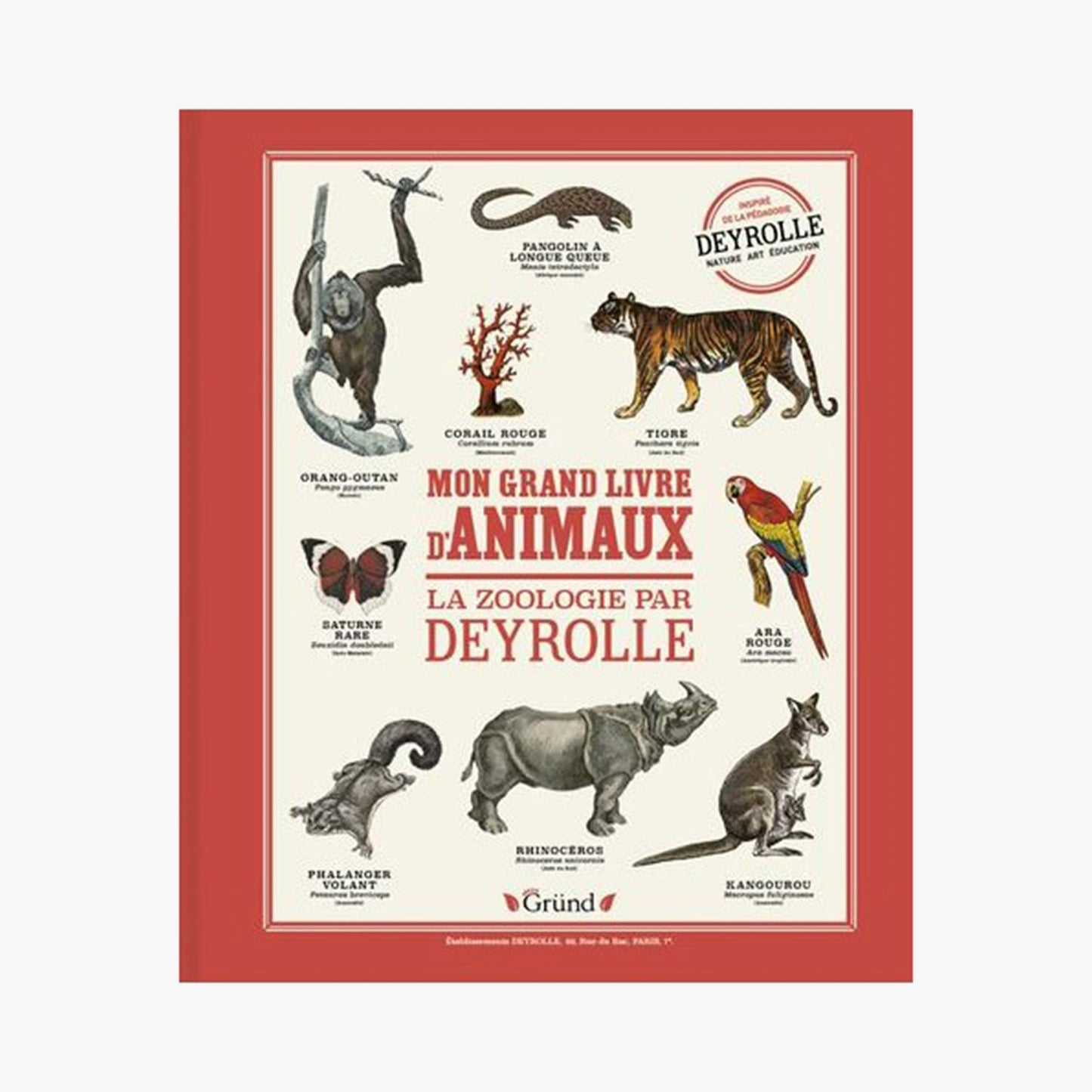 Mon grand livre d'animaux - DEYROLLE