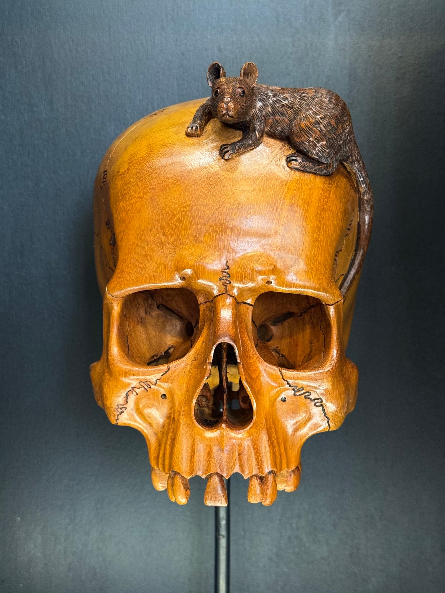 Vanité souris