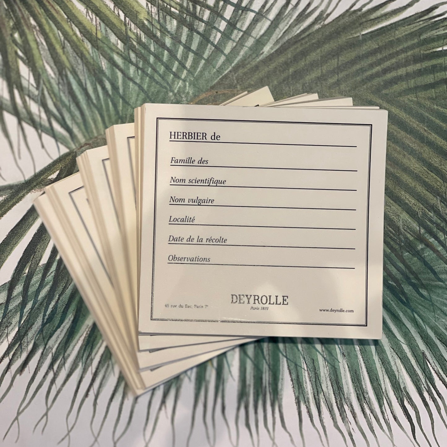 Etiquettes à Herbier (100)
