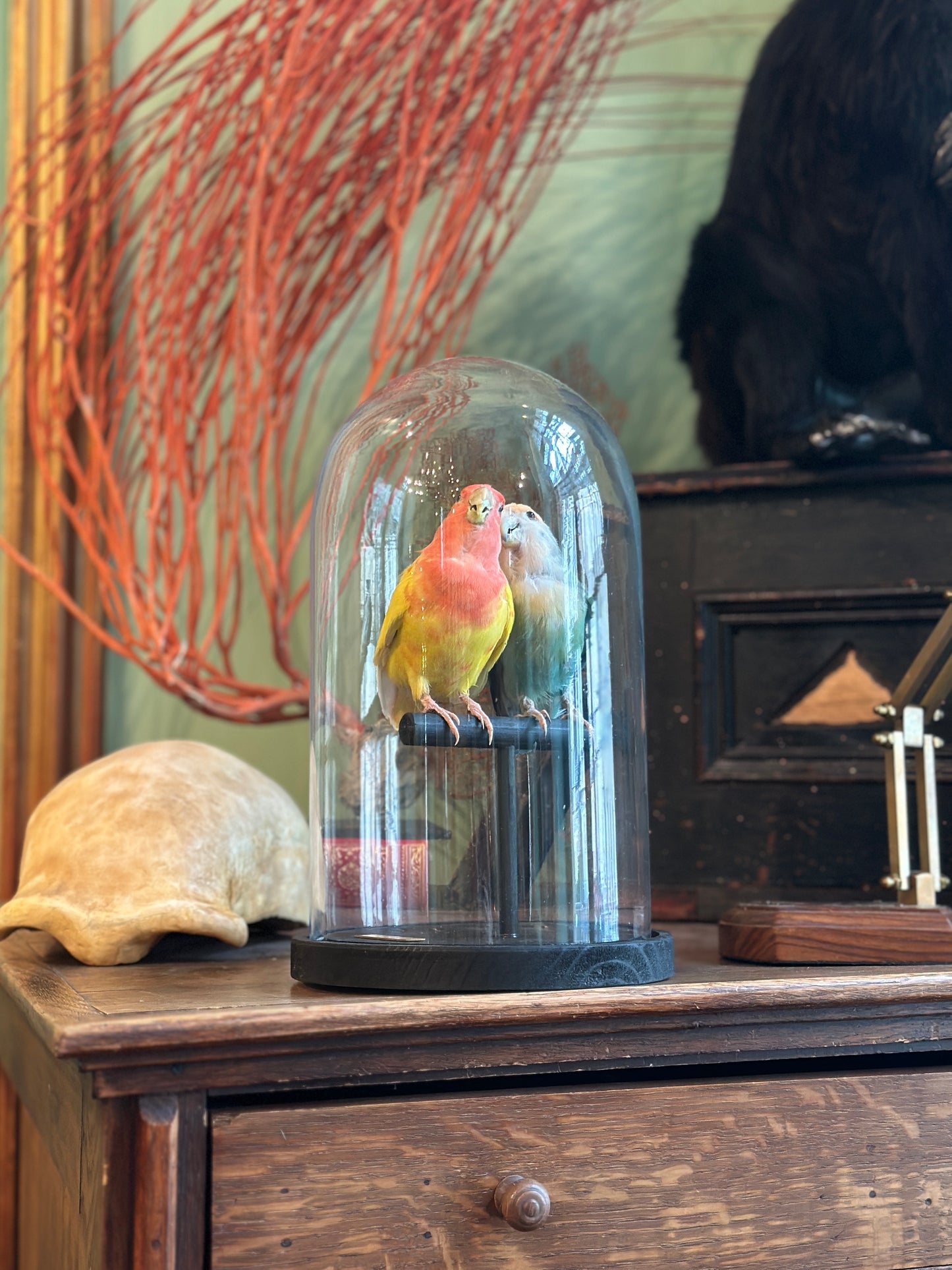 Inseparable hybrid duo