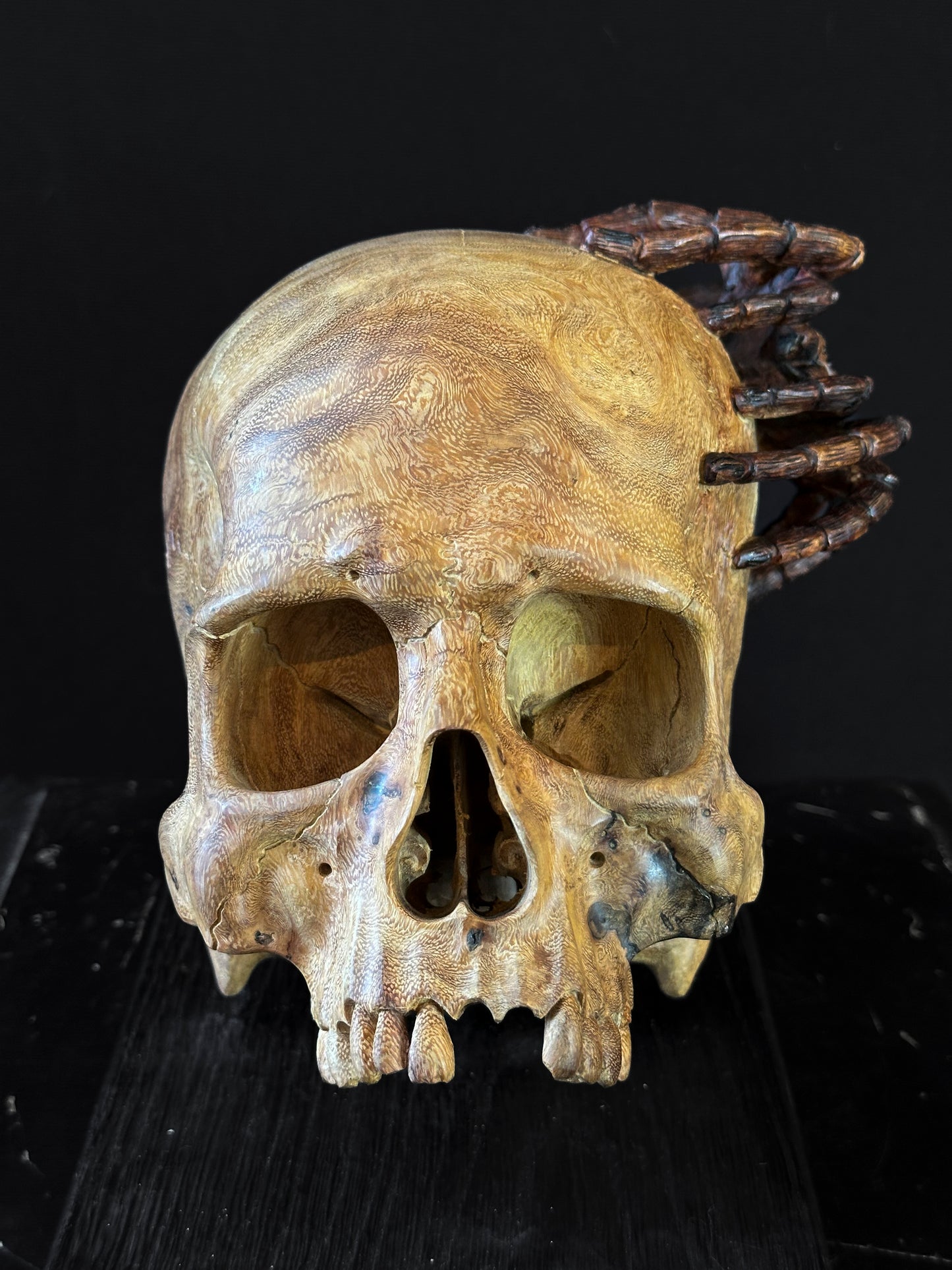 Skull spider