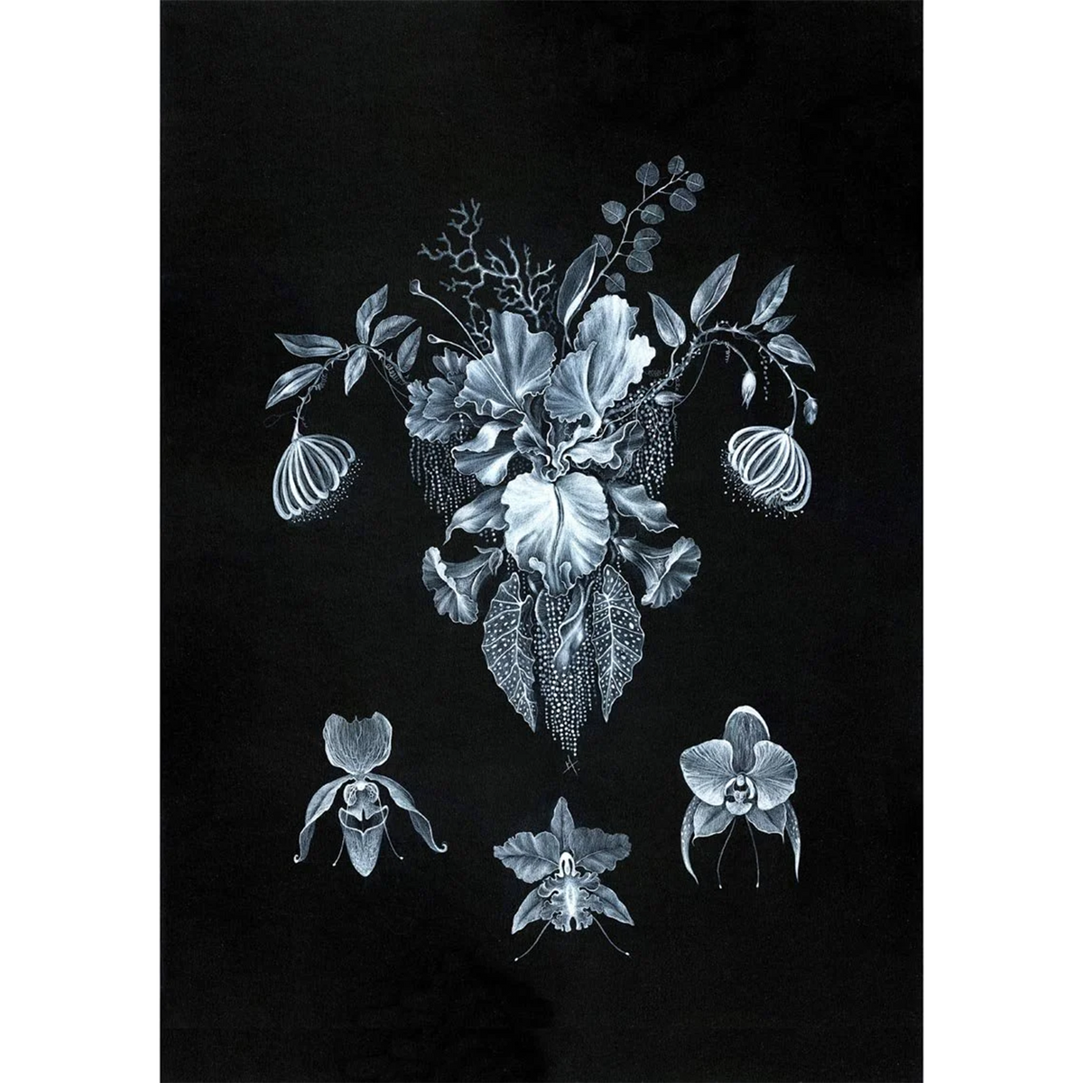Uterus floral