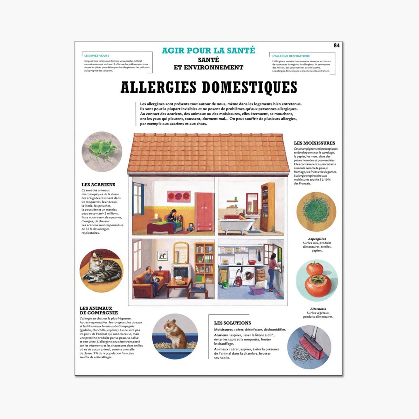 Household allergies
