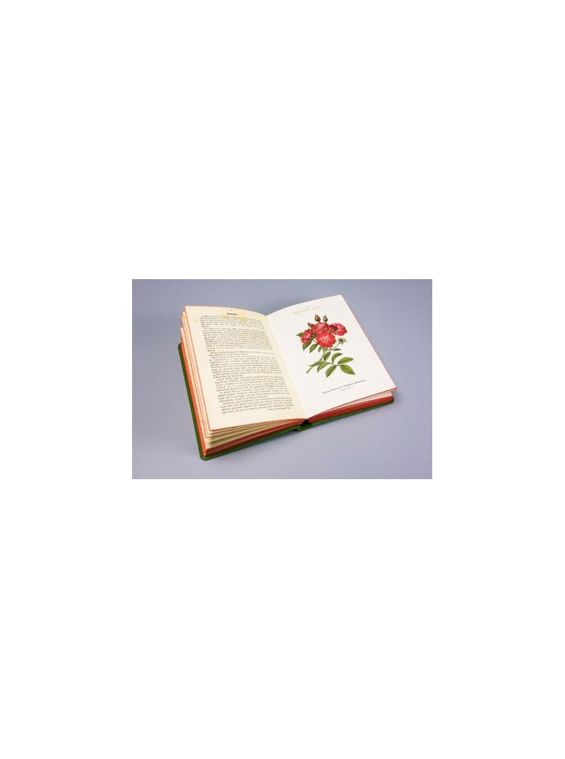Atlas de Poche des Arbres et Arbustes