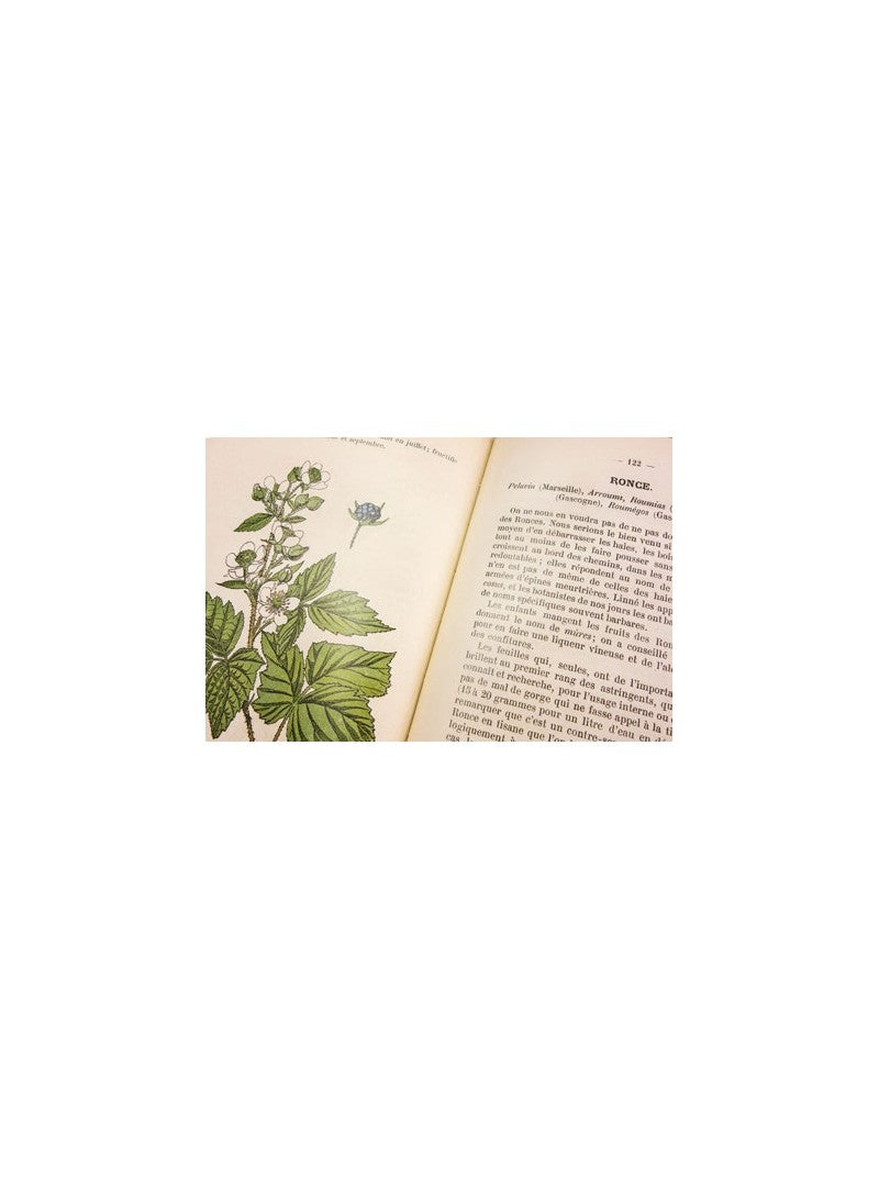 Pocket Atlas of Medicinal Plants