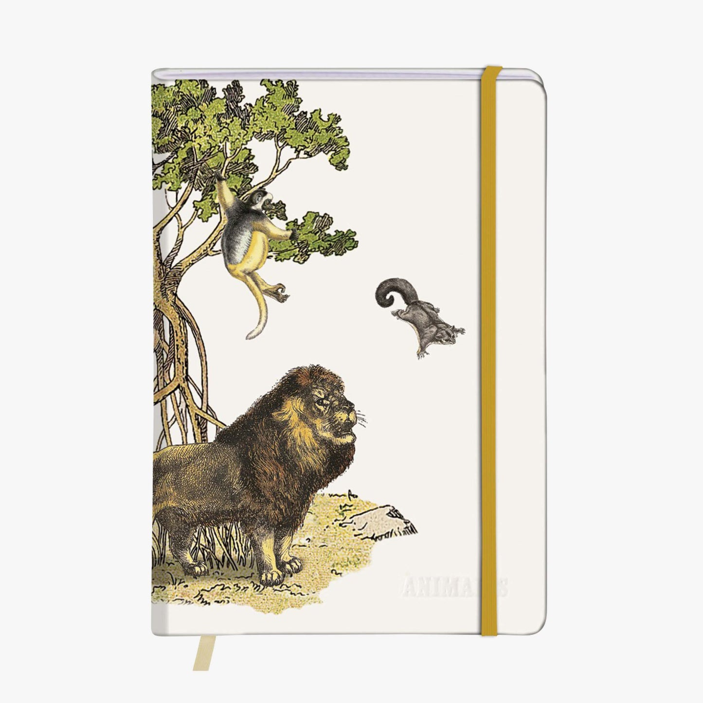 Deyrolle x Clairefontaine A5 notebook with elastic – 96 pages