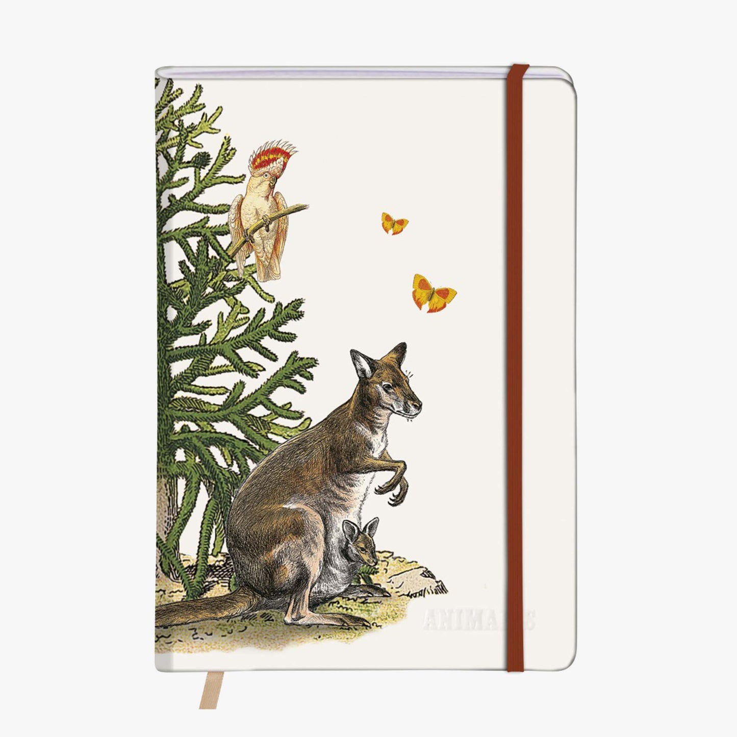 Deyrolle x Clairefontaine A5 notebook with elastic – 96 pages