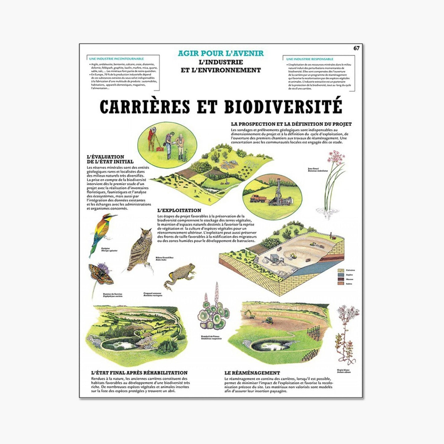 Careers and biodiversity