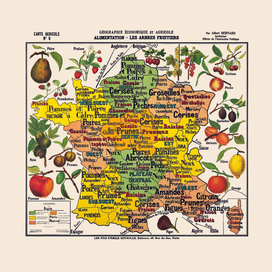 Carte de Géographie n°6 : "Les Fruits"