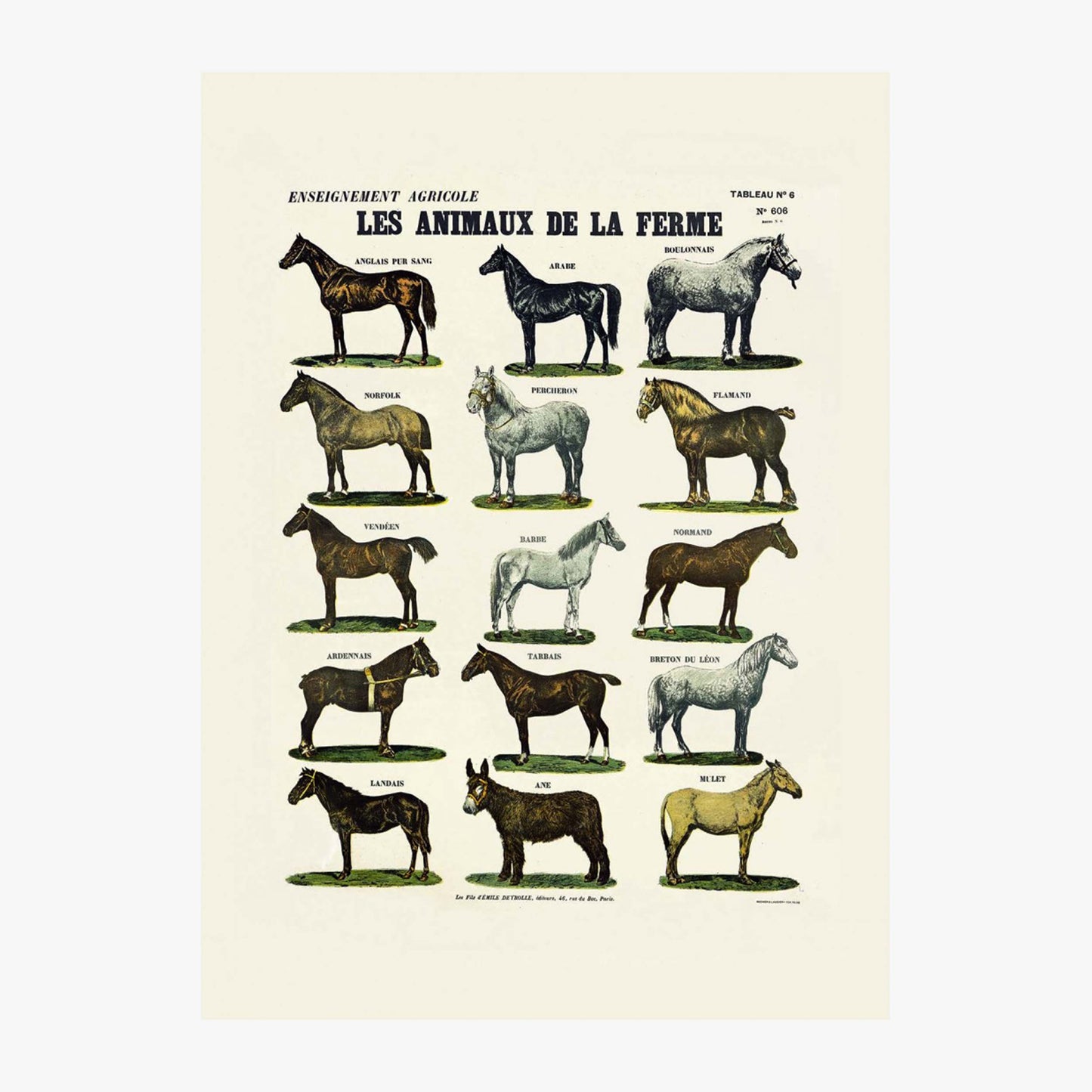 Les animaux de la ferme : les chevaux
