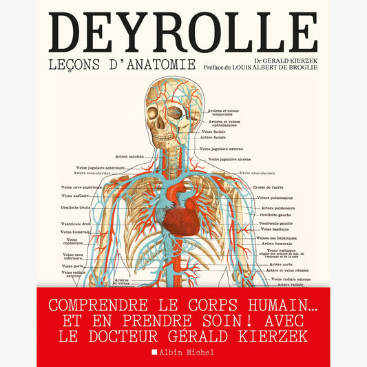 DEYROLLE, Leçons d' Anatomie
