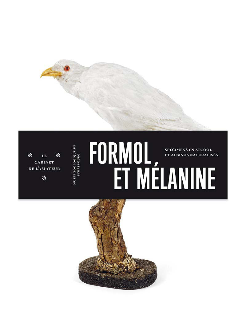 Formol et mélanine - spécimens en alcool et albinos naturalisés