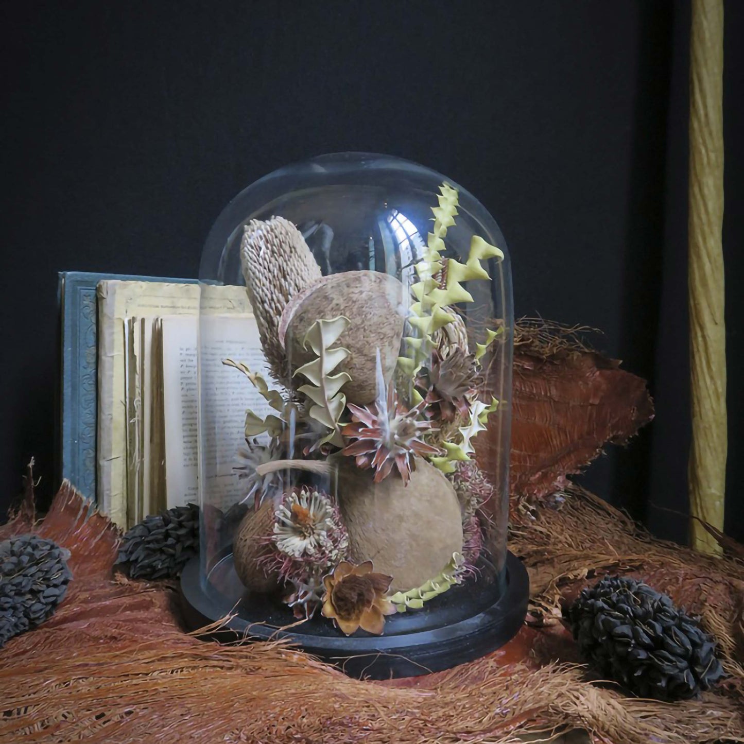 "Terra incognita" series - Globe "Return from Tasmania"