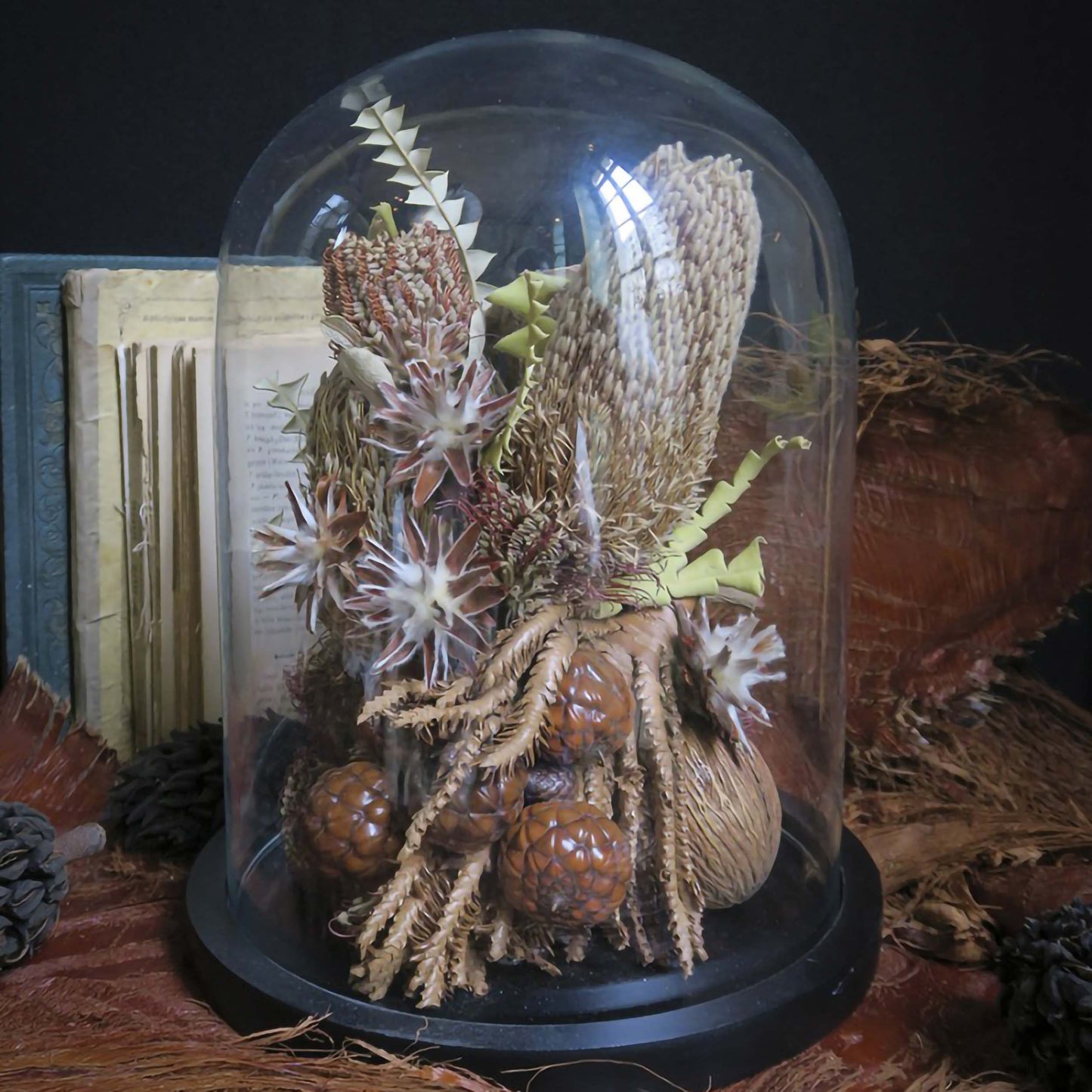 "Terra incognita" series - Globe "Return from Tasmania"