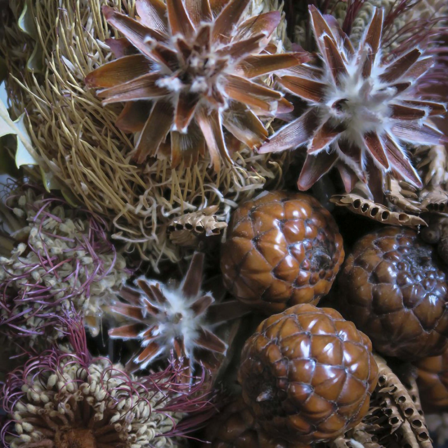 "Terra incognita" series - Globe "Return from Tasmania"