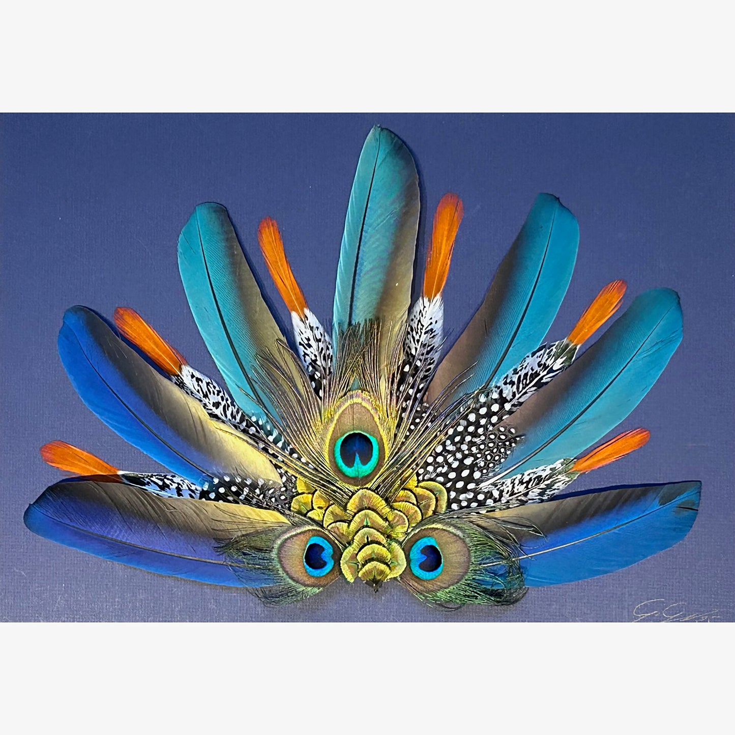 Macaw Diadem