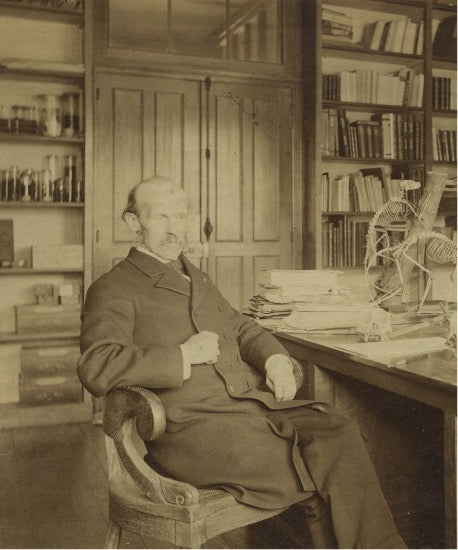 Portrait de Jean-Baptiste Deyrolle dans son bureau