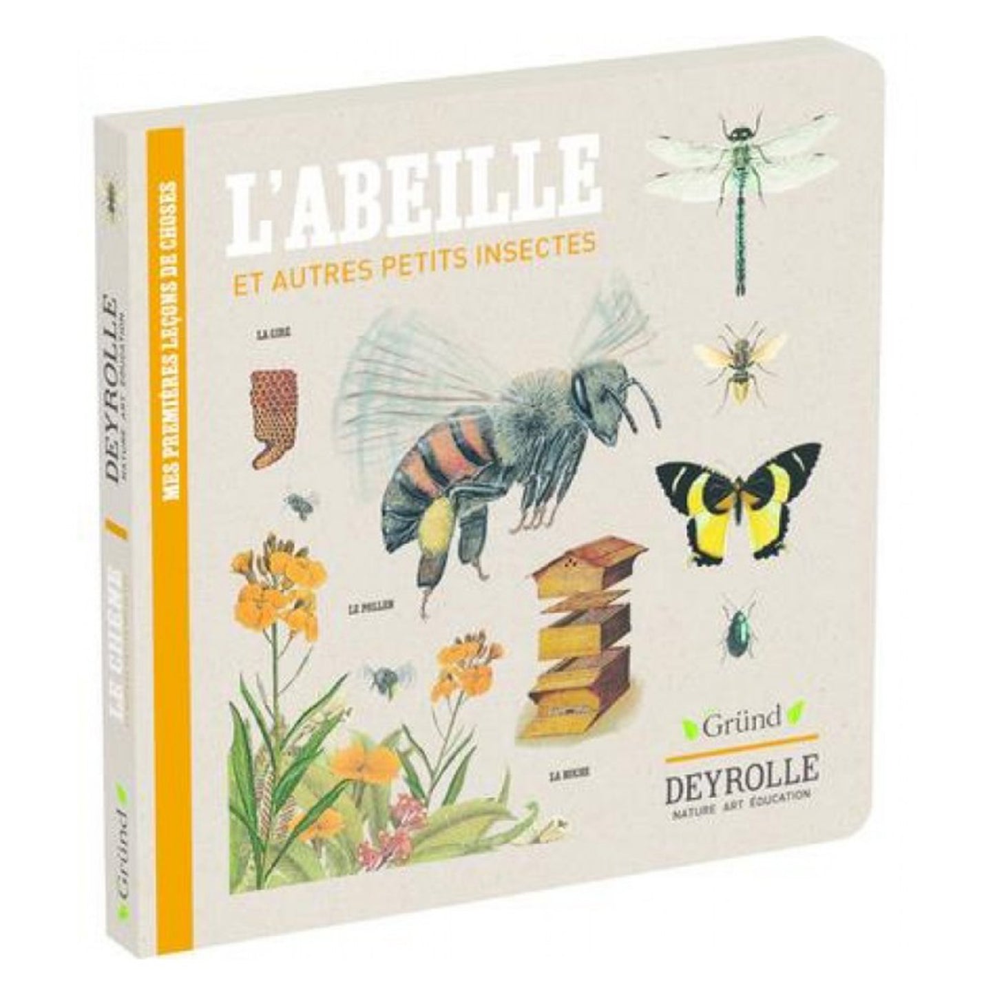 The bee and other small insects - Deyrolle