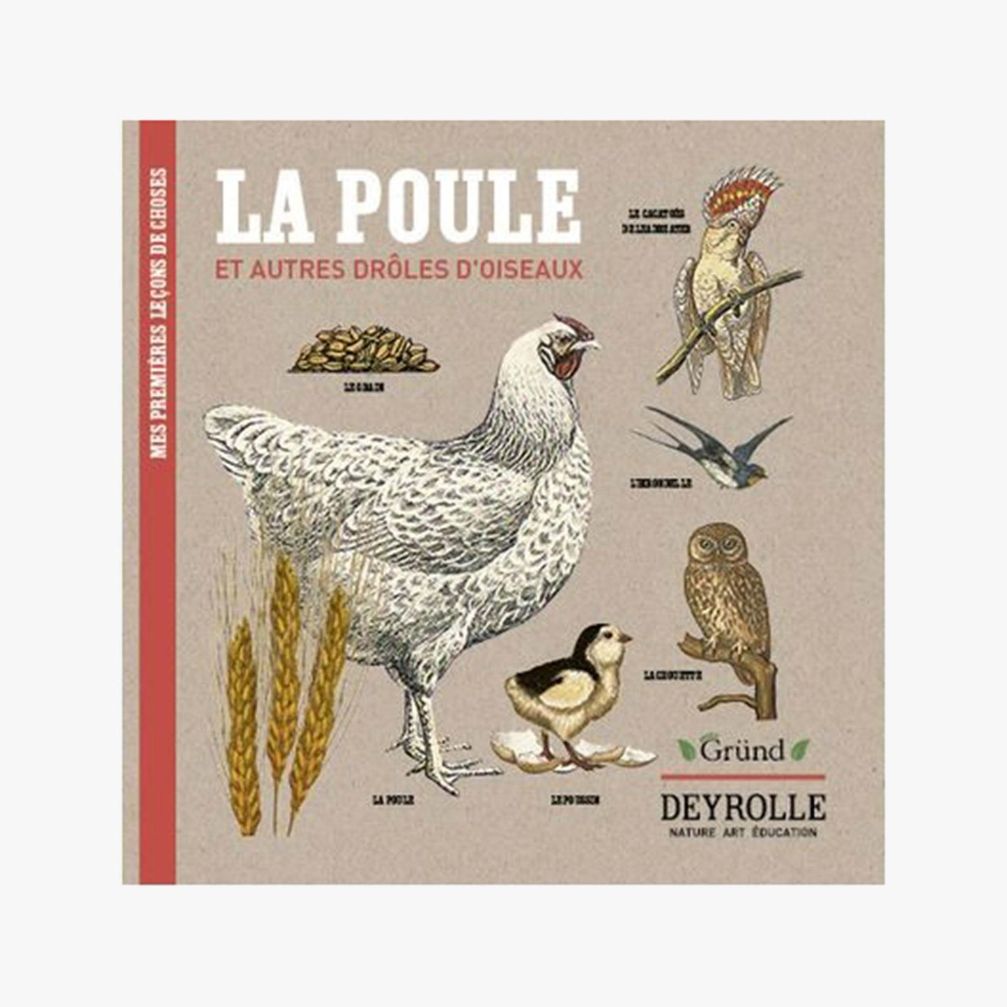 La poule et autres drôles d'oiseaux - Deyrolle