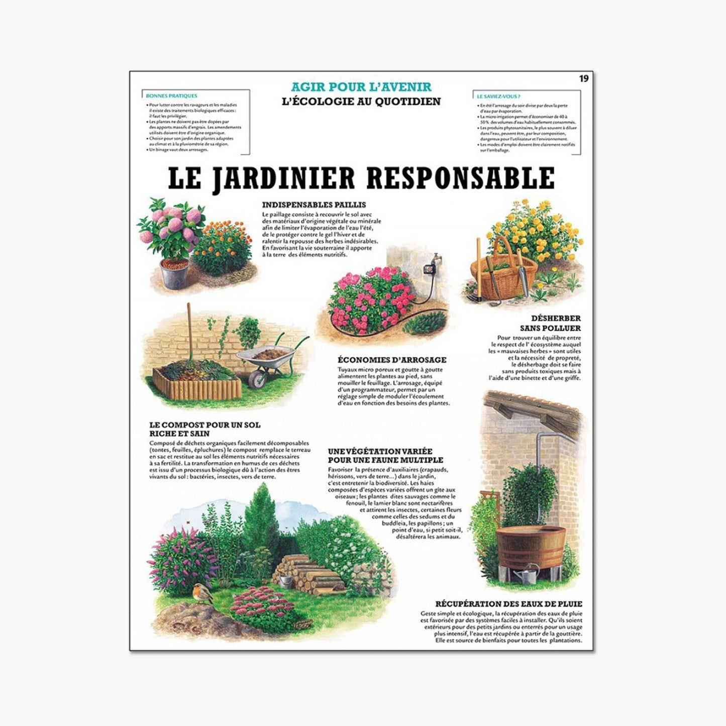 The responsible gardener