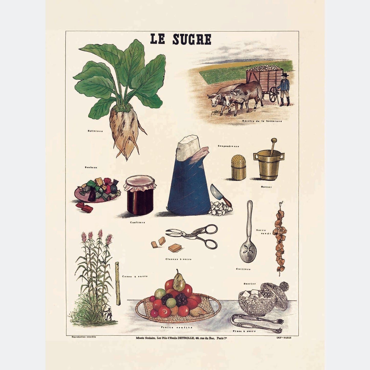 Le sucre