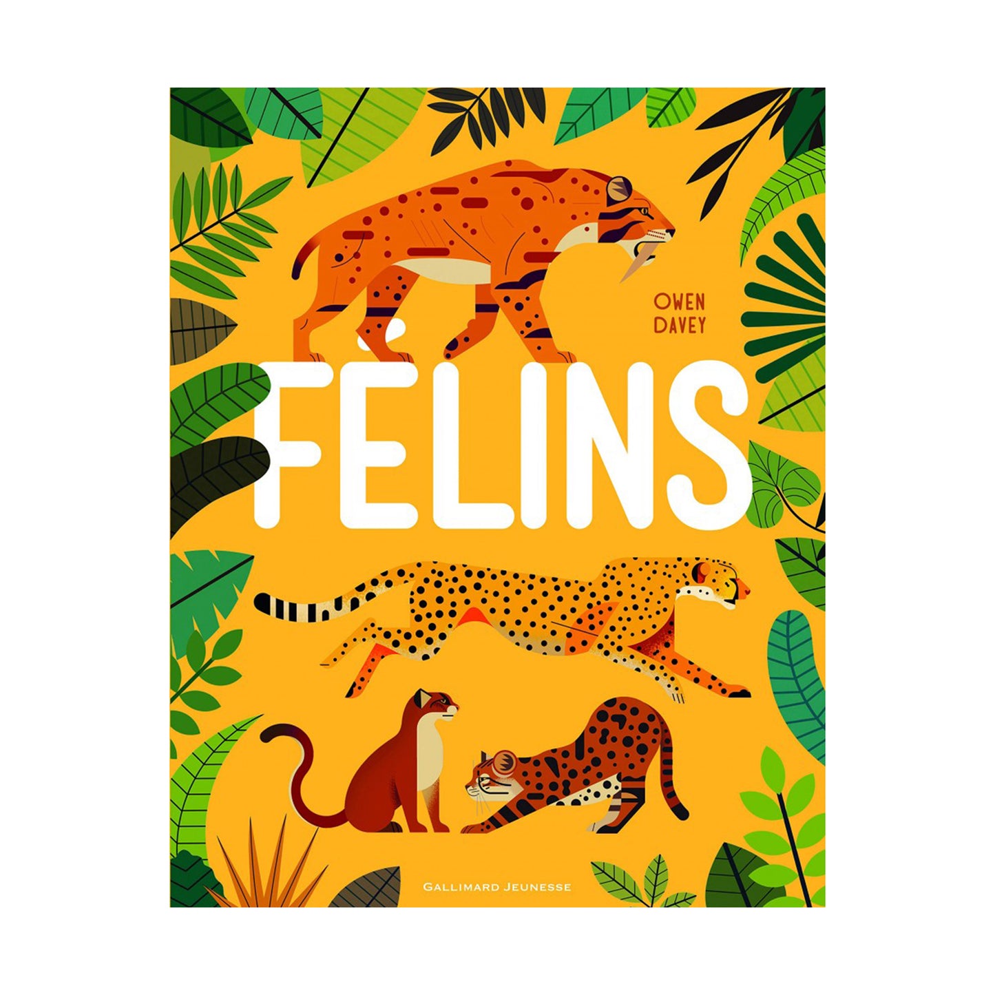 FELINS