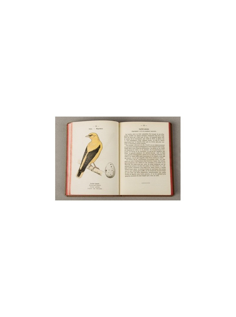 Pocket Atlas of the Birds of France - Series 1