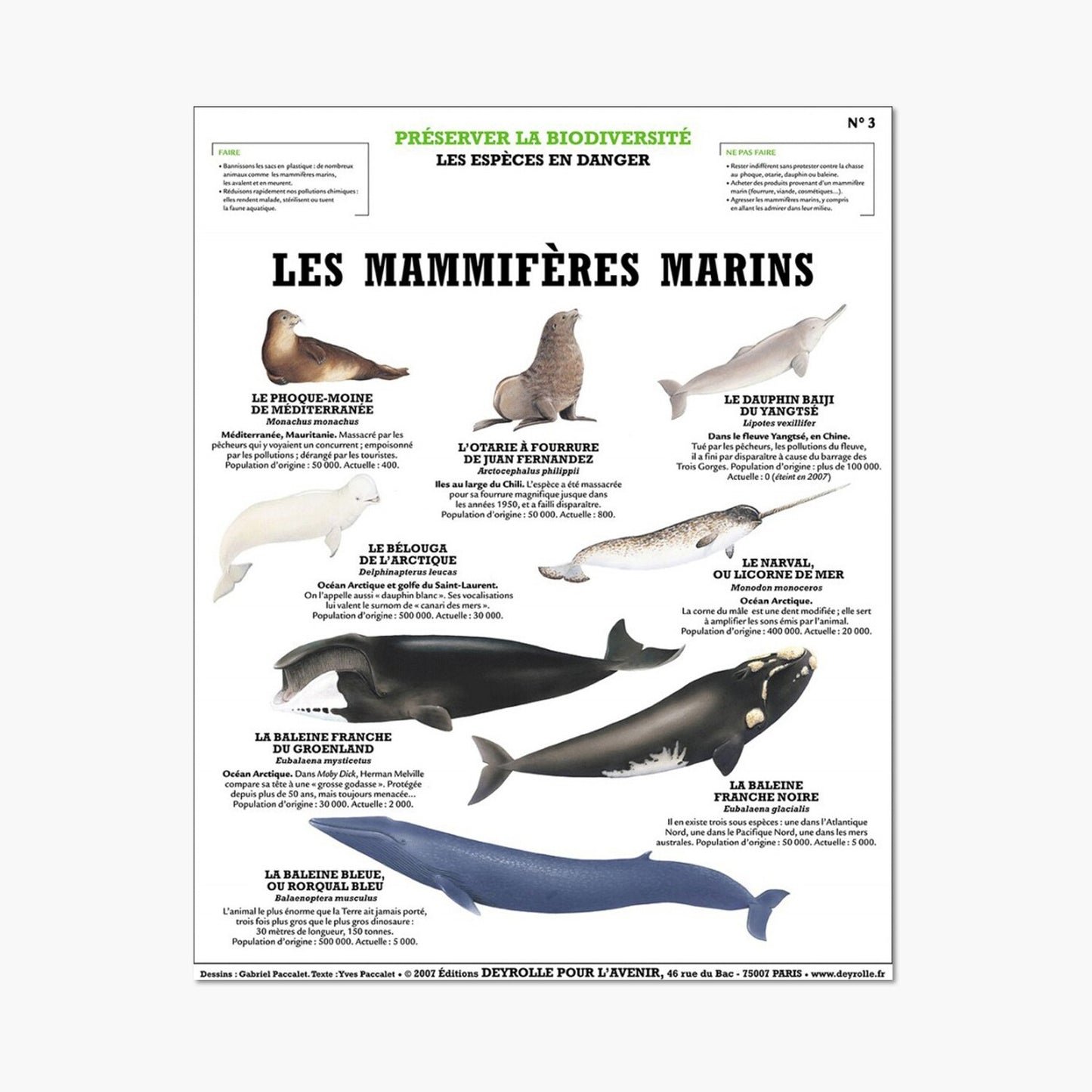 Marine mammals