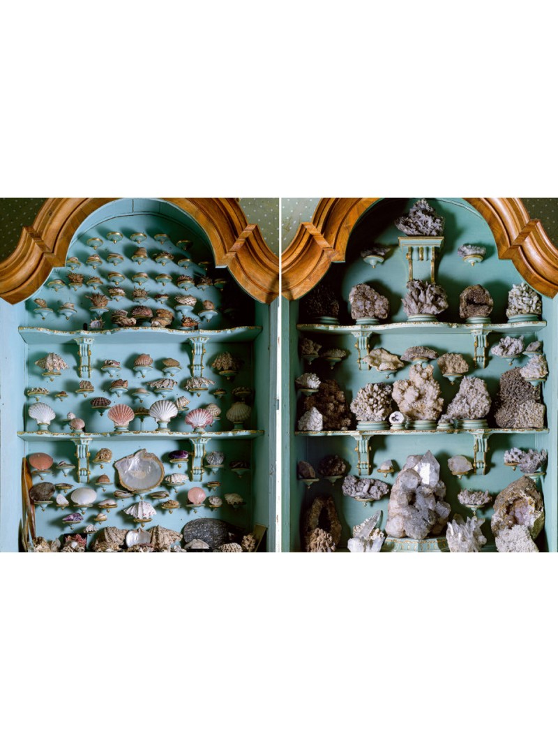 Massimo LISTRI : Cabinet of curiosities