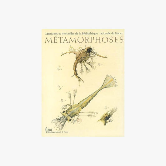 Métamorphoses - Le monde fascinant des insectes