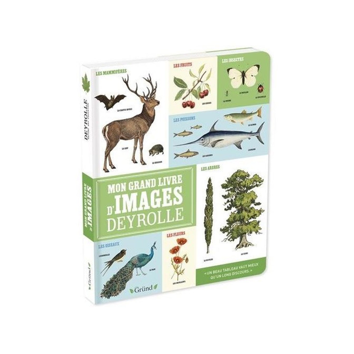 Mon grand livre d'images - DEYROLLE