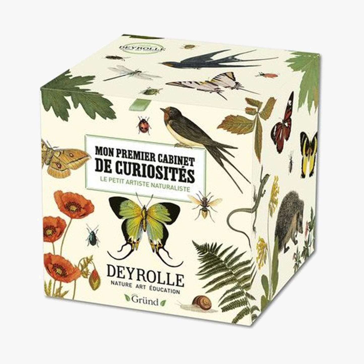 Mon premier cabinet de curiosités - DEYROLLE